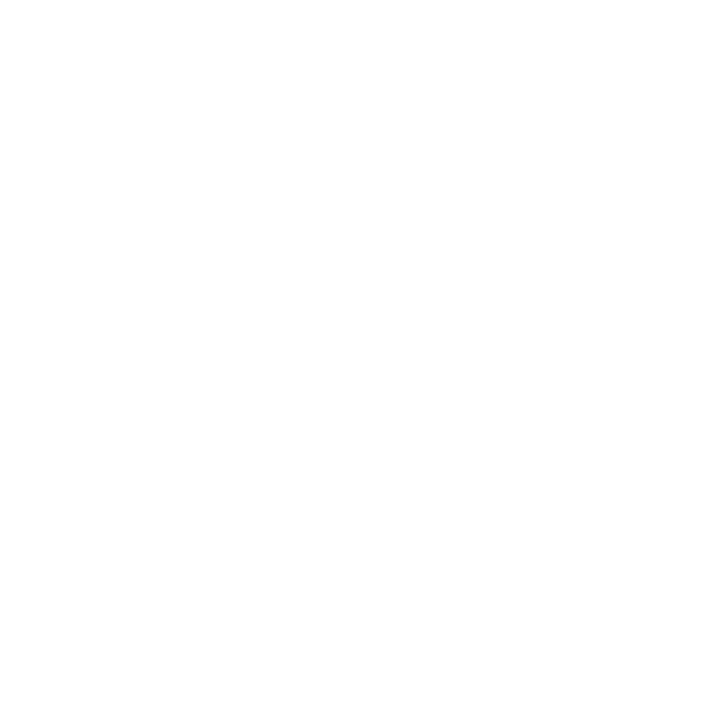 N₂