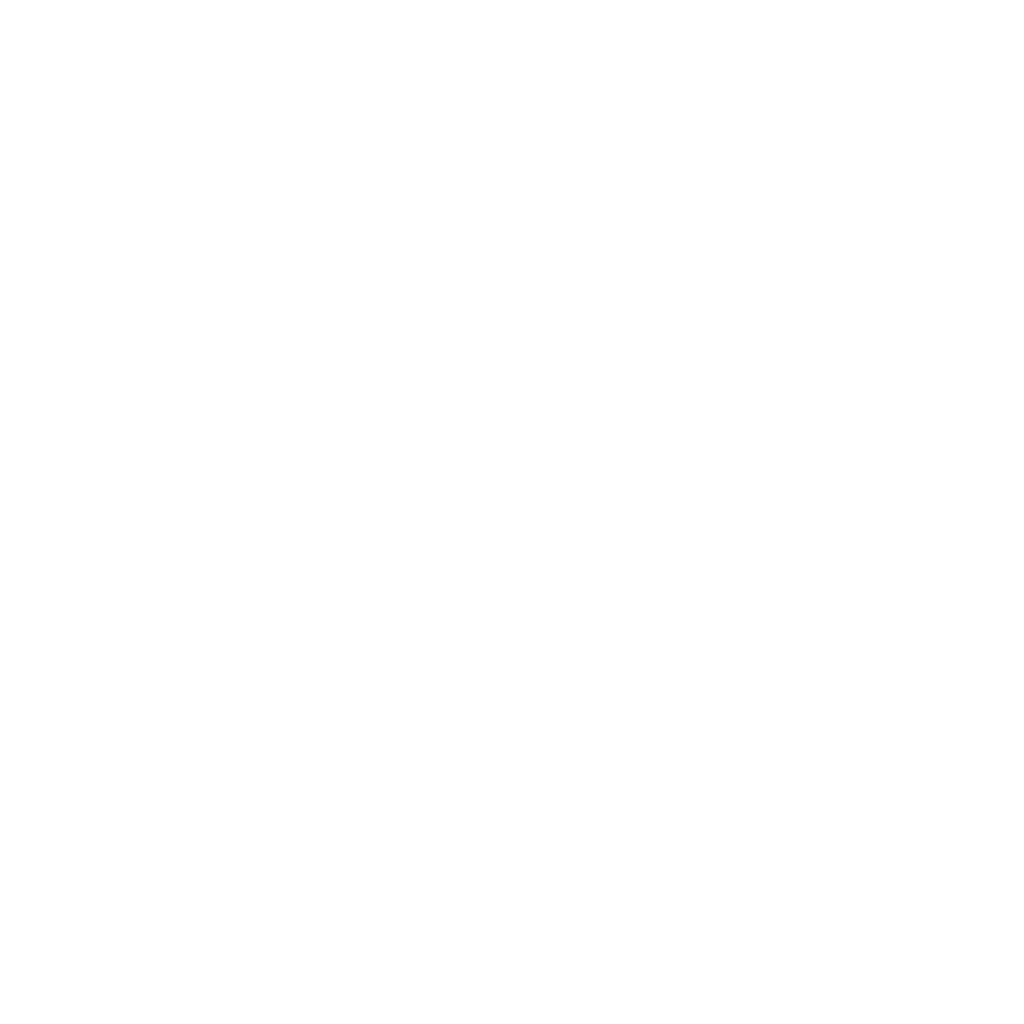 N₂